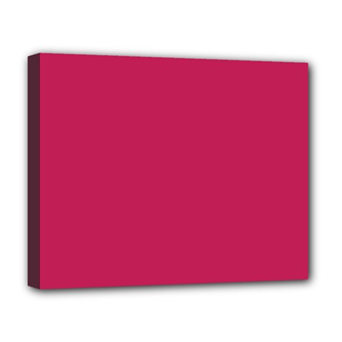 Rose Red Color Deluxe Canvas 20  X 16  (stretched) by SpinnyChairDesigns