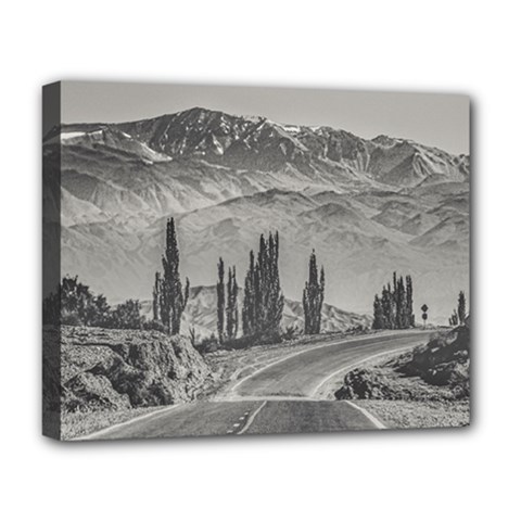 Deserted Landscape Highway, San Juan Province, Argentina Deluxe Canvas 20  X 16  (stretched) by dflcprintsclothing