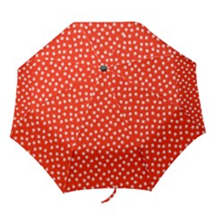 Red White Floral Print Folding Umbrellas by SpinnyChairDesigns