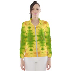 Lemon Lime Tie Dye Women s Windbreaker by SpinnyChairDesigns