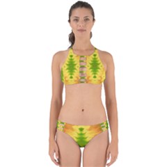 Lemon Lime Tie Dye Perfectly Cut Out Bikini Set