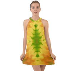 Lemon Lime Tie Dye Halter Tie Back Chiffon Dress