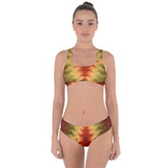 Red Gold Tie Dye Criss Cross Bikini Set