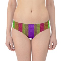 Colors Of A Rainbow Hipster Bikini Bottoms