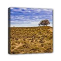 Patagonia Landscape Scene, Santa Cruz - Argentina Mini Canvas 6  x 6  (Stretched) View1