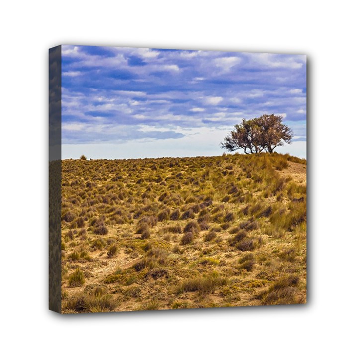Patagonia Landscape Scene, Santa Cruz - Argentina Mini Canvas 6  x 6  (Stretched)