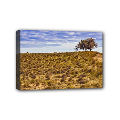 Patagonia Landscape Scene, Santa Cruz - Argentina Mini Canvas 6  X 4  (stretched)