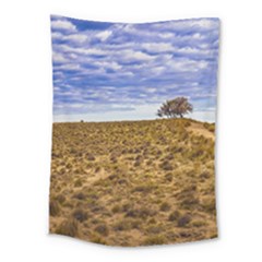 Patagonia Landscape Scene, Santa Cruz - Argentina Medium Tapestry by dflcprintsclothing