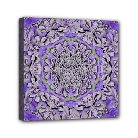 Floral Wreaths In The Beautiful Nature Mandala Mini Canvas 6  X 6  (stretched) by pepitasart