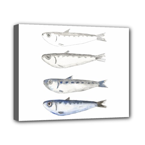 Pencil Fish Sardine Drawing Canvas 10  X 8  (stretched) by HermanTelo