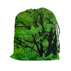 Big Trees, El Leoncito National Park, San Juan, Argentina Drawstring Pouch (2xl) by dflcprintsclothing