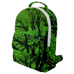 Big Trees, El Leoncito National Park, San Juan, Argentina Flap Pocket Backpack (small)