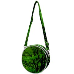 Big Trees, El Leoncito National Park, San Juan, Argentina Crossbody Circle Bag by dflcprintsclothing