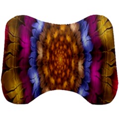 Fractal Flower Head Support Cushion by Sparkle