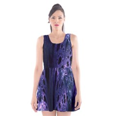 Fractal Web Scoop Neck Skater Dress by Sparkle