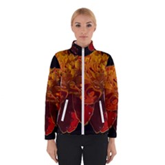 Marigold On Black Winter Jacket by MichaelMoriartyPhotography