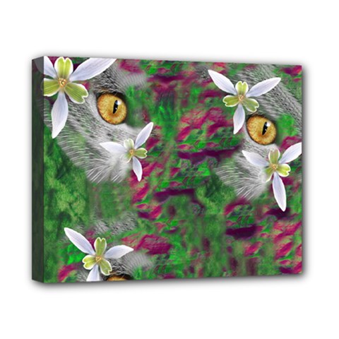Illustrations Color Cat Flower Abstract Textures Canvas 10  X 8  (stretched)