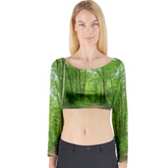 In The Forest The Fullness Of Spring, Green, Long Sleeve Crop Top by MartinsMysteriousPhotographerShop