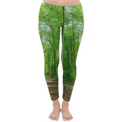 In The Forest The Fullness Of Spring, Green, Classic Winter Leggings by MartinsMysteriousPhotographerShop