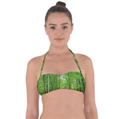 In The Forest The Fullness Of Spring, Green, Halter Bandeau Bikini Top by MartinsMysteriousPhotographerShop