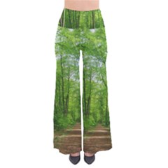 In The Forest The Fullness Of Spring, Green, So Vintage Palazzo Pants