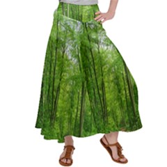 In The Forest The Fullness Of Spring, Green, Satin Palazzo Pants