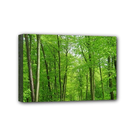 In The Forest The Fullness Of Spring, Green, Mini Canvas 6  X 4  (stretched) by MartinsMysteriousPhotographerShop