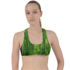 In The Forest The Fullness Of Spring, Green, Criss Cross Racerback Sports Bra by MartinsMysteriousPhotographerShop