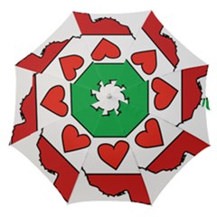Heart Flag Map Of Iran  Straight Umbrellas by abbeyz71