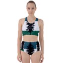 Flag of Cascadia  Racer Back Bikini Set View1