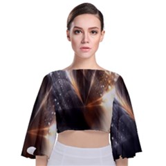 Flash Light Tie Back Butterfly Sleeve Chiffon Top by Sparkle
