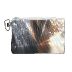 Flash Light Canvas Cosmetic Bag (large) by Sparkle