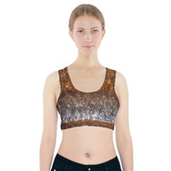 Glitter Gold Sports Bra With Pocket by Sparkle