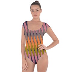 Zappwaits - Your Short Sleeve Leotard 