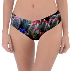 Cactus Reversible Classic Bikini Bottoms by Sparkle