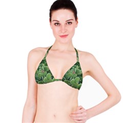 Green Cactus Bikini Top by Sparkle