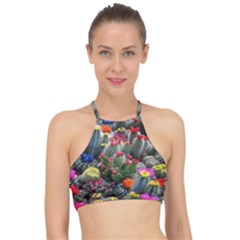 Cactus Racer Front Bikini Top by Sparkle