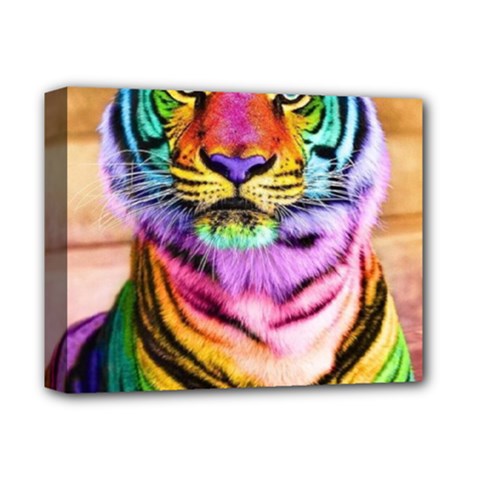 Rainbowtiger Deluxe Canvas 14  X 11  (stretched) by Sparkle