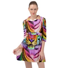 Rainbowtiger Mini Skater Shirt Dress by Sparkle