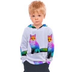 Rainbowfox Kids  Overhead Hoodie by Sparkle