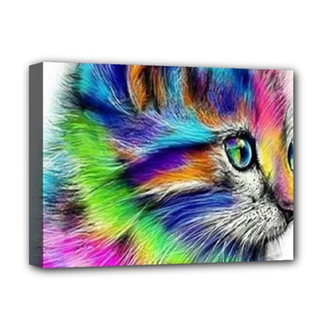 Rainbowcat Deluxe Canvas 16  X 12  (stretched)  by Sparkle