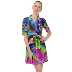 Rainbowcat Belted Shirt Dress by Sparkle