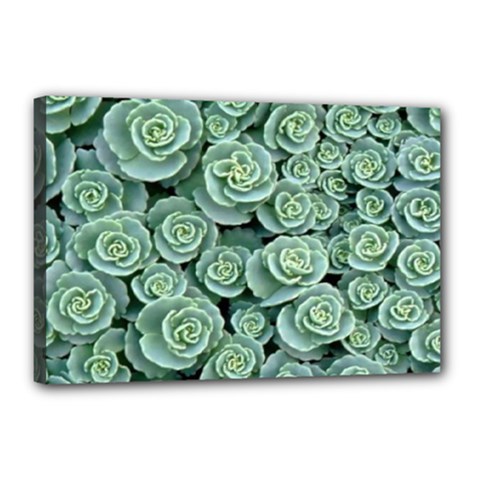 Realflowers Canvas 18  X 12  (stretched) by Sparkle