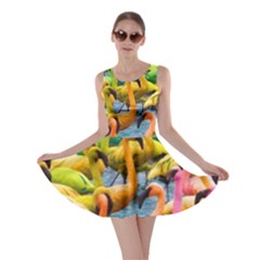 Rainbow Flamingos Skater Dress