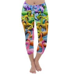 Rainbow Flamingos Capri Winter Leggings 