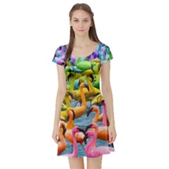 Rainbow Flamingos Short Sleeve Skater Dress