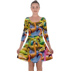 Rainbow Flamingos Quarter Sleeve Skater Dress