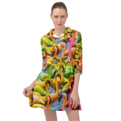 Rainbow Flamingos Mini Skater Shirt Dress