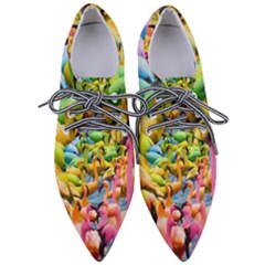 Rainbow Flamingos Pointed Oxford Shoes