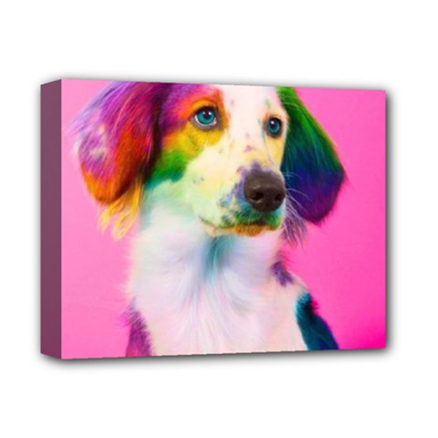 Rainbowdog Deluxe Canvas 14  X 11  (stretched) by Sparkle